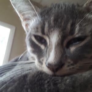 Meet your Posher, Kaira